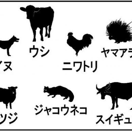 顧みられない熱帯病 レプトスピラ症 の感染源を環境dnaから推定 世界の熱帯 亜熱帯で役立つ手法を沖縄から発信 スリランカで実証 琉球大学sdgs推進室